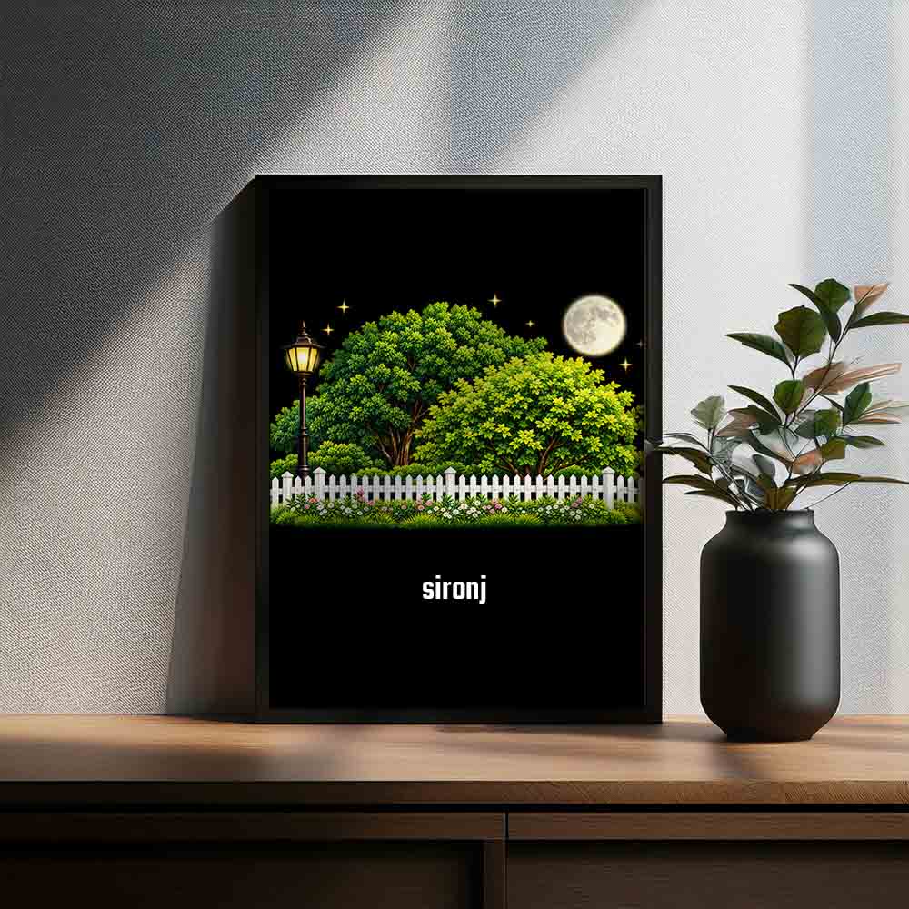 Sironj Home Town Night Trees Landscape Poster Framed 